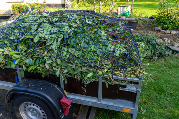 Best Furniture Removal  in Manchester, IA